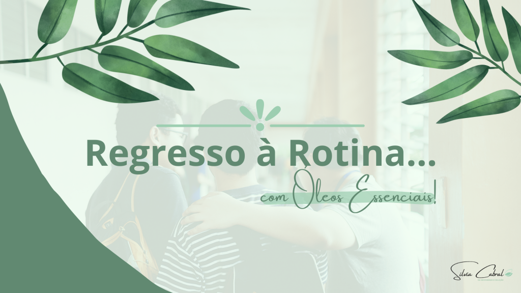 Read more about the article O Regresso às Rotinas!